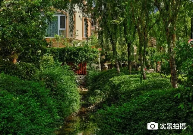 1547780652184055.jpg 640.webp (15).jpg