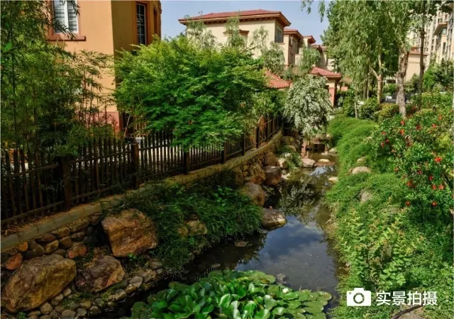 1547780668121941.jpg 640.webp (16).jpg