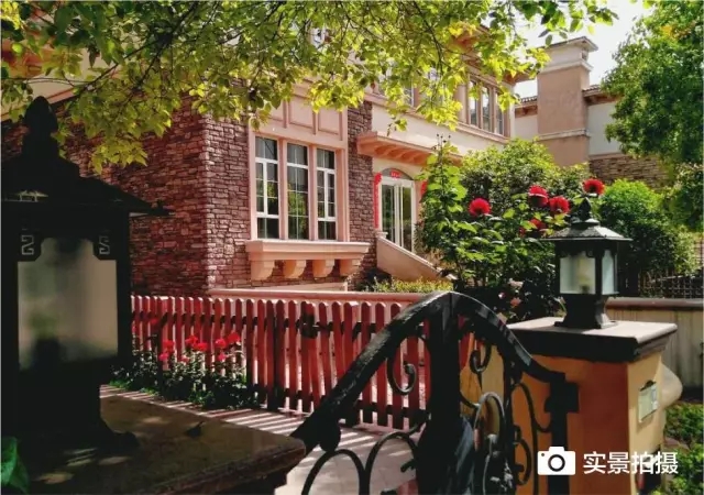 1547780982741370.jpg 640.webp (21).jpg