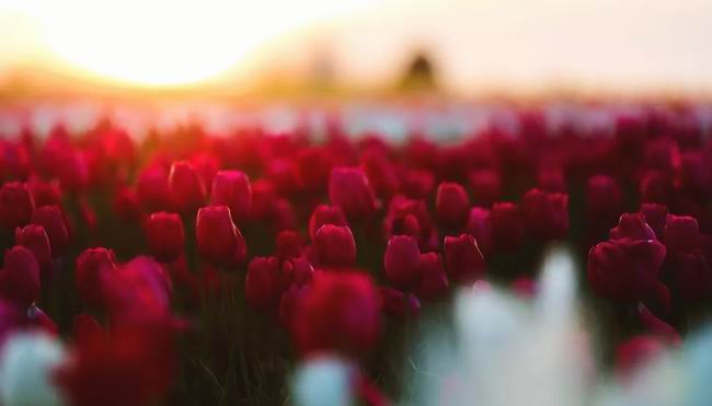 1563790884115135.jpg 640.webp (11).jpg