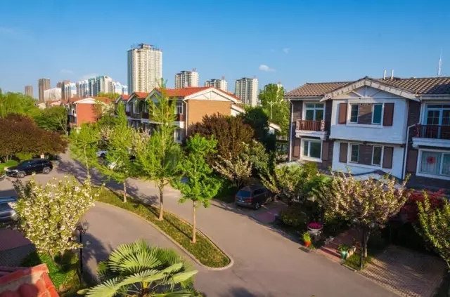 紙杯蛋糕 | 繁花五月，唯愛綿綿