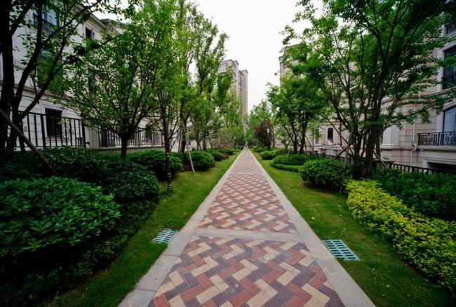 于國寶墅院中，尋回缺失的儀式感